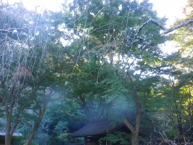 瑞泉寺のその他建物