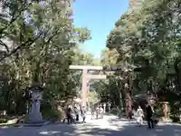 宮崎神宮の自然