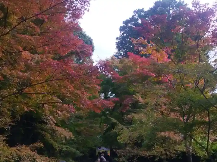 光明寺(粟生光明寺)(京都府)