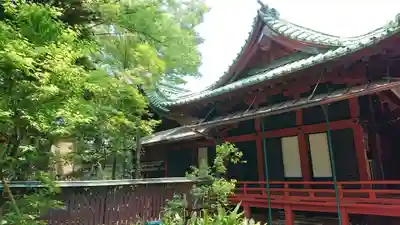 赤坂氷川神社の本殿・本堂