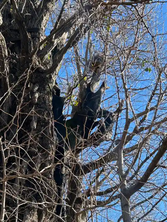 飛木稲荷神社(東京都)