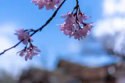 北野天満宮(京都府)