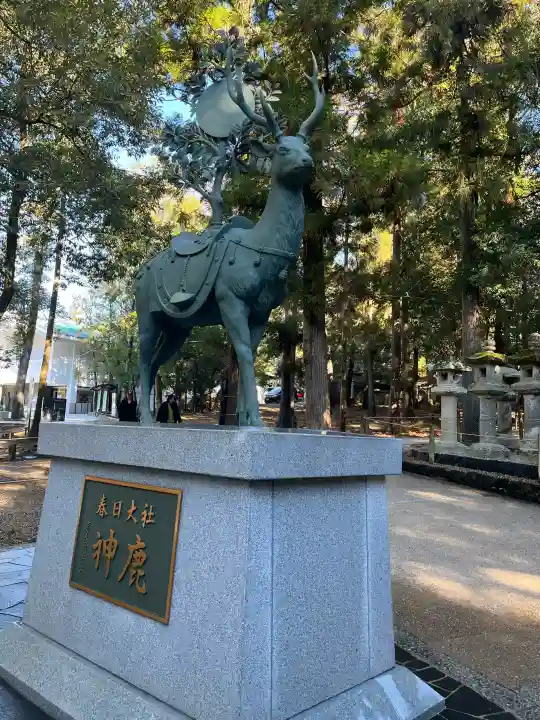 春日大社の{uncategorized: "未分類", other: "その他", undefined: "問題あり", building: "その他建物", grave: "お墓", sacred_gate: "鳥居", guardian: "狛犬", statue: "像", buddha: "仏像", history: "歴史", nature: "自然", garden: "庭園", animal: "動物", pagoda: "塔", temizu: "手水舎", mountain_gate: "山門・神門", sanctuary: "本殿・本堂", subordinate: "末社・摂社", art: "芸術", scenery: "景色", jizo: "地蔵", ema: "絵馬", goshuin: "御朱印", omikuji: "おみくじ", items: "授与品その他", amulet: "お守り", goshuincho: "御朱印帳", eats: "食事", festival: "お祭り", votive_dance: "神楽", shichigosan: "七五三参", wedding: "結婚式", experience: "体験その他", initially: "初詣", around: "周辺", anti_infection: "感染症対策"}