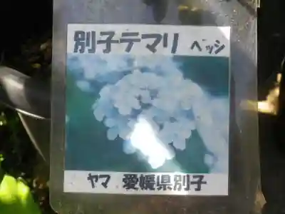 光則寺のその他建物