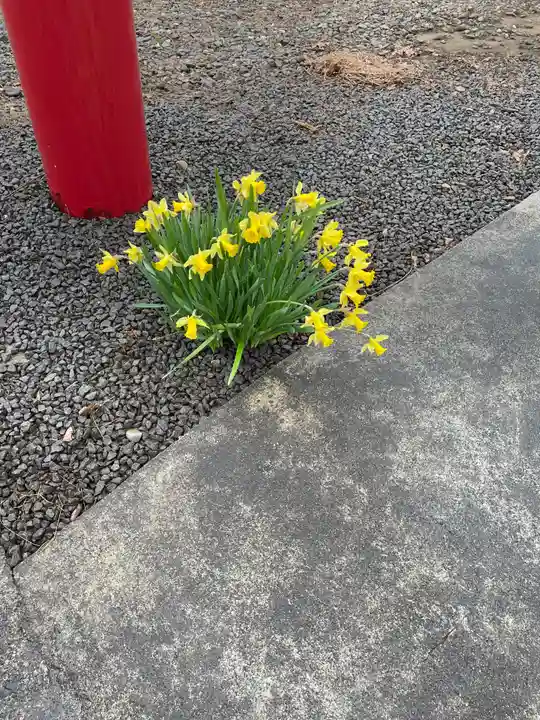 水無山神神社の自然
