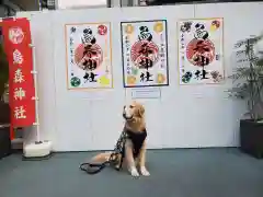 烏森神社の動物