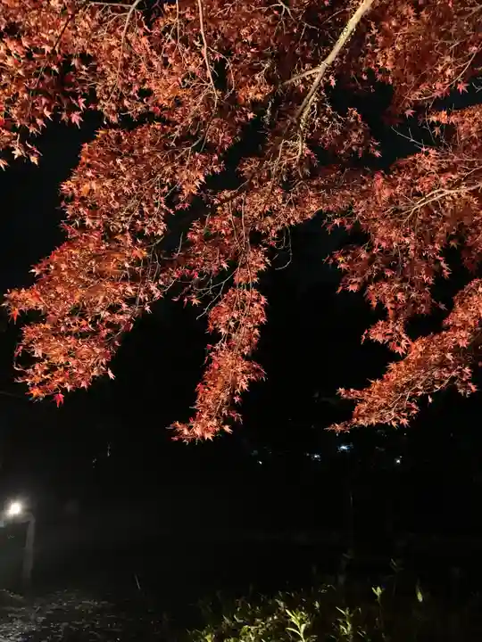 善法律寺の自然