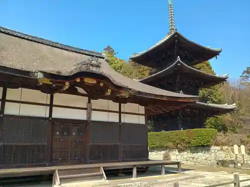園城寺（三井寺）(滋賀県)