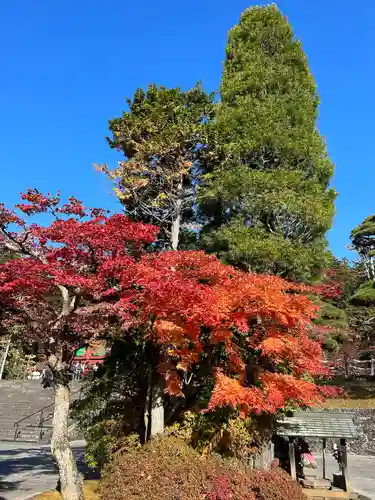 日光山輪王寺三仏堂の周辺