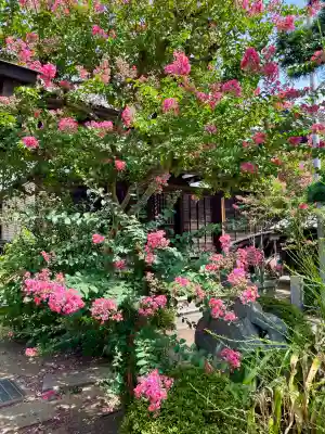 吉祥寺(千葉県)