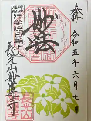 やまぼうし