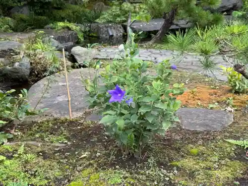 湯島天満宮(東京都)