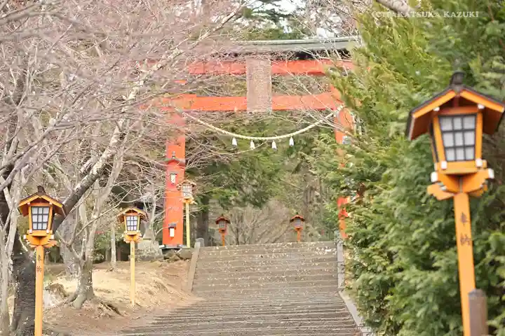 新倉富士浅間神社の鳥居