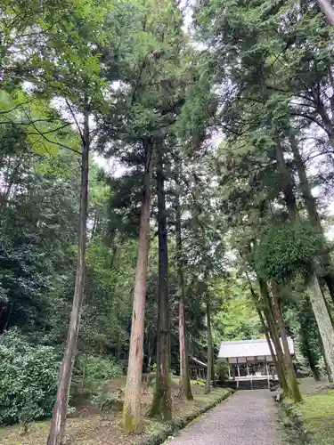 坂祝神社(岐阜県)