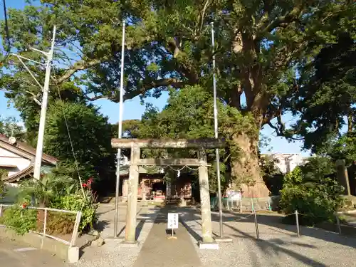 伊勢神明社の鳥居