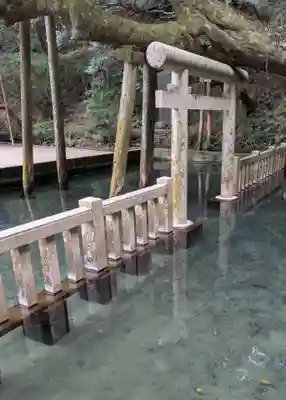 奥宮(鹿島神宮摂社)(茨城県)