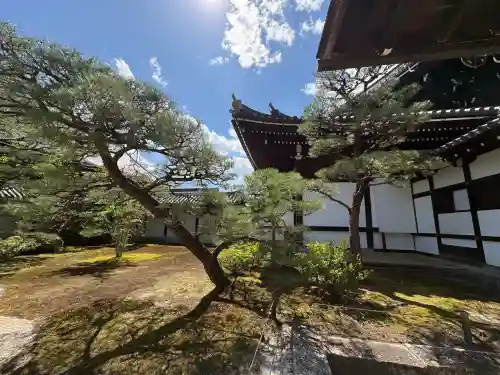 知恩院の{uncategorized: "未分類", other: "その他", undefined: "問題あり", building: "その他建物", grave: "お墓", sacred_gate: "鳥居", guardian: "狛犬", statue: "像", buddha: "仏像", history: "歴史", nature: "自然", garden: "庭園", animal: "動物", pagoda: "塔", temizu: "手水舎", mountain_gate: "山門・神門", sanctuary: "本殿・本堂", subordinate: "末社・摂社", art: "芸術", scenery: "景色", jizo: "地蔵", ema: "絵馬", goshuin: "御朱印", omikuji: "おみくじ", items: "授与品その他", amulet: "お守り", goshuincho: "御朱印帳", eats: "食事", festival: "お祭り", votive_dance: "神楽", shichigosan: "七五三参", wedding: "結婚式", experience: "体験その他", initially: "初詣", around: "周辺", anti_infection: "感染症対策"}