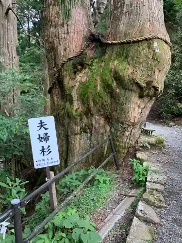 玉置神社のその他建物