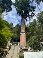 由岐神社の自然