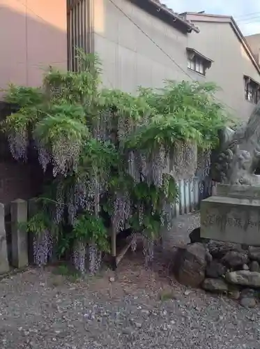 久保市乙剣宮のその他建物