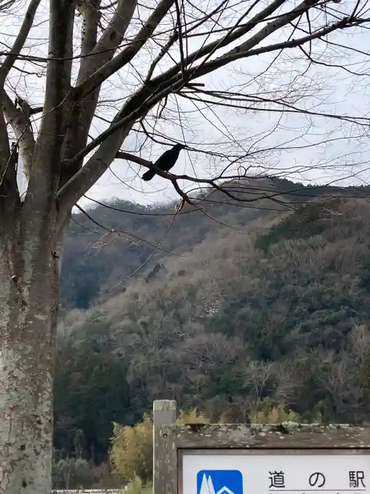 新宮八幡神社(兵庫県)