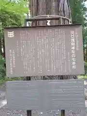 河口浅間神社(山梨県)