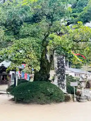 青岸渡寺の{uncategorized: "未分類", other: "その他", undefined: "問題あり", building: "その他建物", grave: "お墓", sacred_gate: "鳥居", guardian: "狛犬", statue: "像", buddha: "仏像", history: "歴史", nature: "自然", garden: "庭園", animal: "動物", pagoda: "塔", temizu: "手水舎", mountain_gate: "山門・神門", sanctuary: "本殿・本堂", subordinate: "末社・摂社", art: "芸術", scenery: "景色", jizo: "地蔵", ema: "絵馬", goshuin: "御朱印", omikuji: "おみくじ", items: "授与品その他", amulet: "お守り", goshuincho: "御朱印帳", eats: "食事", festival: "お祭り", votive_dance: "神楽", shichigosan: "七五三参", wedding: "結婚式", experience: "体験その他", initially: "初詣", around: "周辺", anti_infection: "感染症対策"}