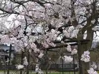 霊泉寺(福井県)