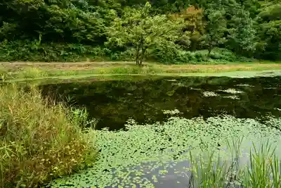 郡殿の池弁財天社(新潟県)