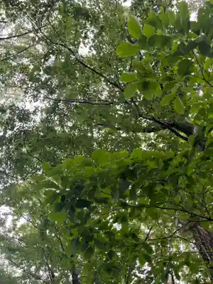 賀茂別雷神社(栃木県)