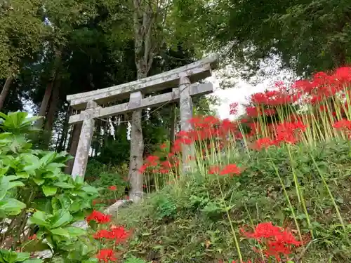 八幡神社の庭園