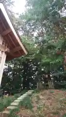 常磐神社の本殿