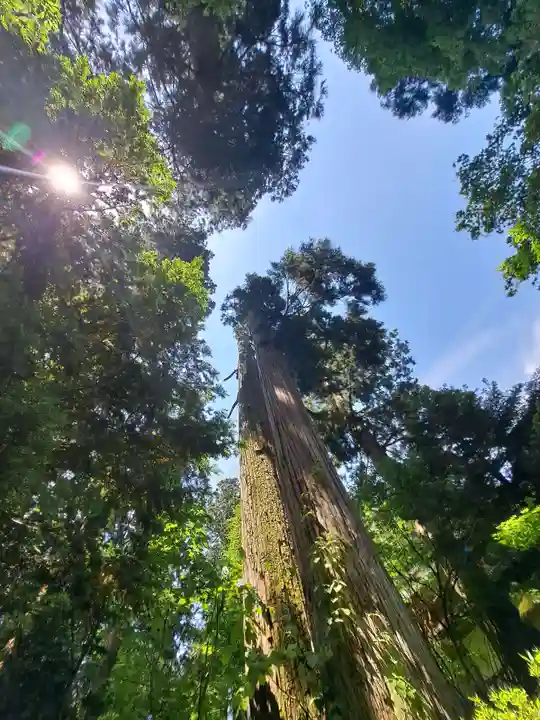慈光寺(新潟県)