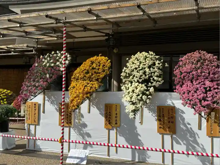 湯島天満宮(東京都)