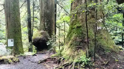 花園神社(茨城県)