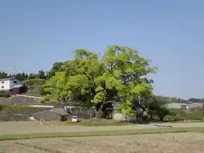 速雨神社の周辺