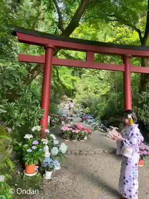 岡寺(龍蓋寺)(奈良県)