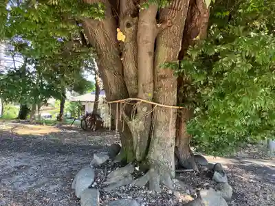 東海市熊野神社(愛知県)