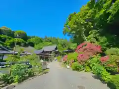 岡寺（龍蓋寺）(奈良県)