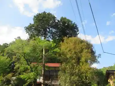 熊野神社(埼玉県)
