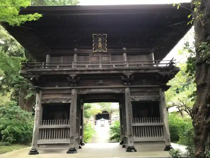 徳善寺の山門・神門