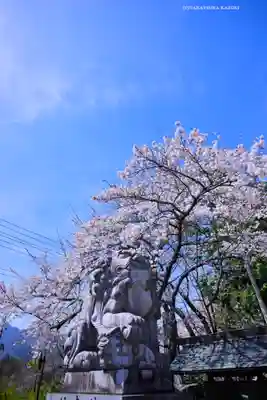冨士御室浅間神社(山梨県)