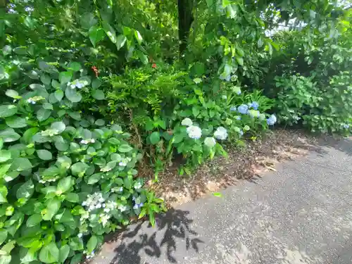 沼鉾神社(栃木県)