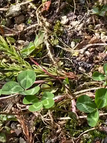 日光二荒山神社(栃木県)