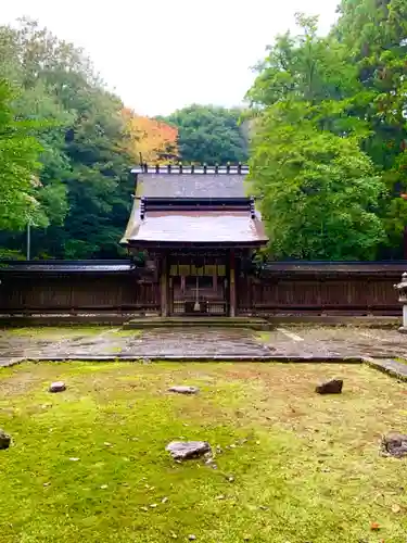 若狭彦神社（上社）の本殿・本堂