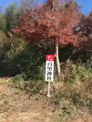 百里神社の自然