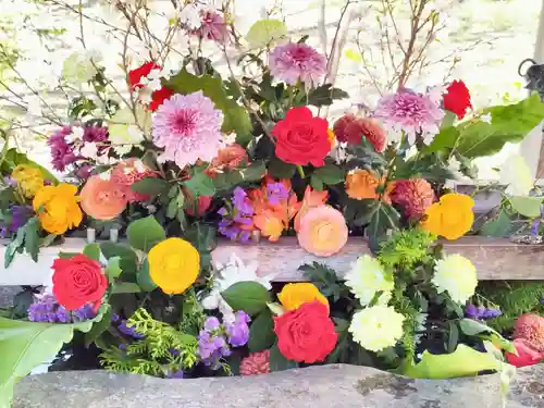 彌彦神社　(伊夜日子神社)の手水舎