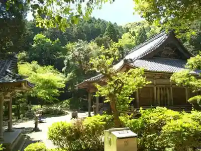 観音寺の本殿・本堂