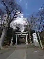 日吉神社(東京都)