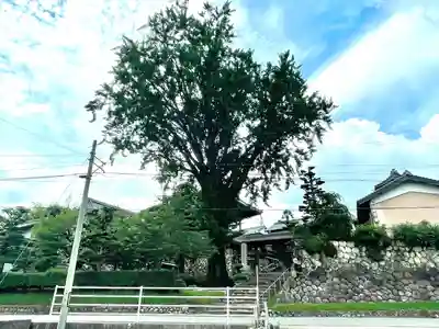 金蔵寺(三重県)